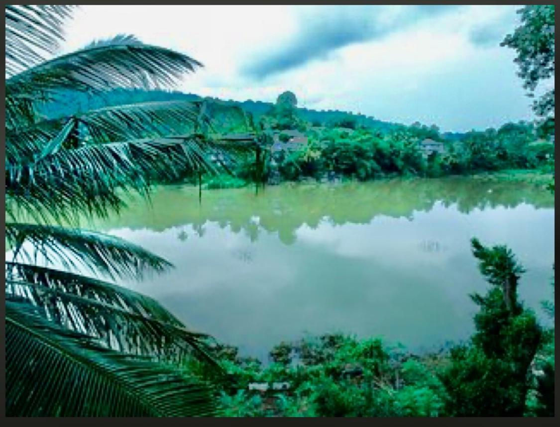 Amanzi Residence Kandy Ngoại thất bức ảnh