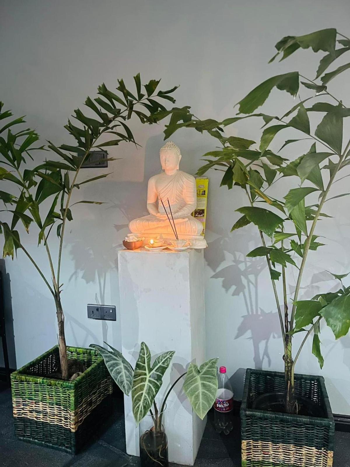 Amanzi Residence Kandy Ngoại thất bức ảnh