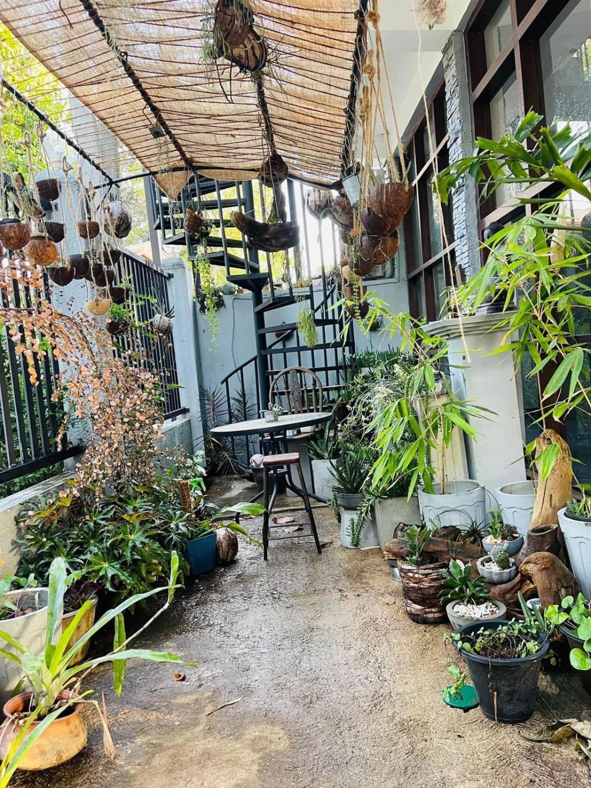 Amanzi Residence Kandy Ngoại thất bức ảnh